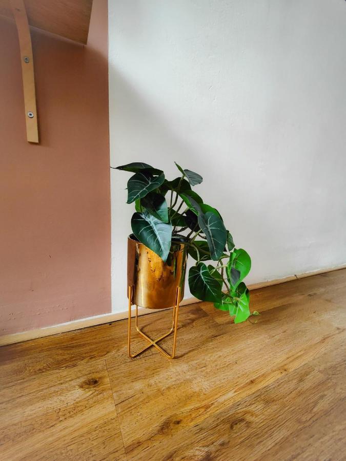 בזייה Charmant T2 Atypique, Renove, Confortable מראה חיצוני תמונה